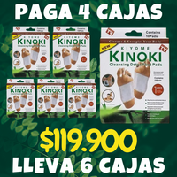 PARCHES KINOKI